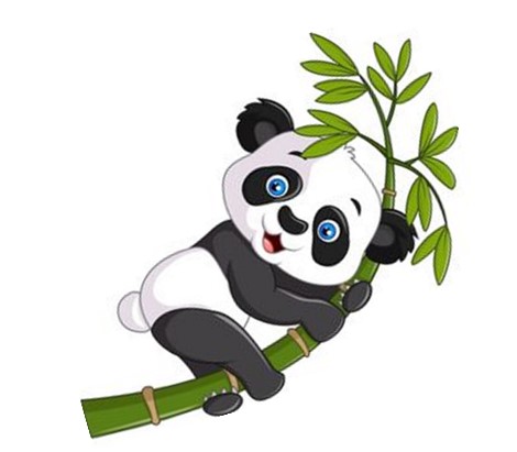 PANDA CSOPORT